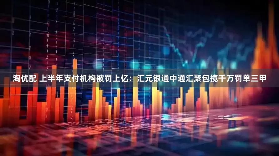 淘优配 上半年支付机构被罚上亿：汇元银通中通汇聚包揽千万罚单三甲