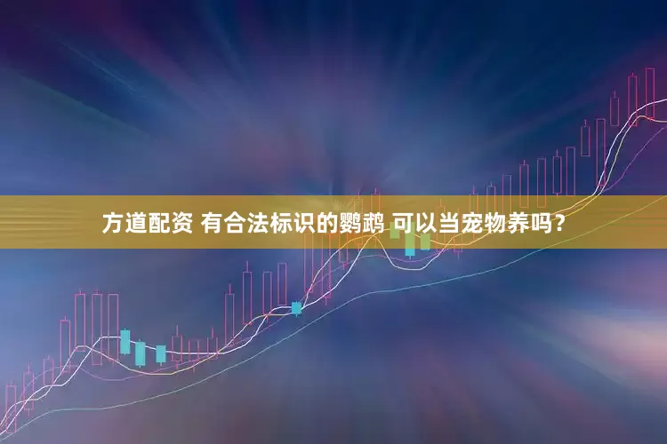 方道配资 有合法标识的鹦鹉 可以当宠物养吗？