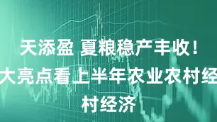 天添盈 夏粮稳产丰收！七大亮点看上半年农业农村经济