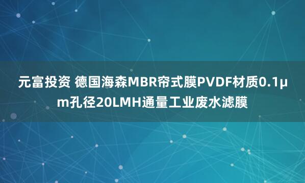 元富投资 德国海森MBR帘式膜PVDF材质0.1μm孔径20LMH通量工业废水滤膜